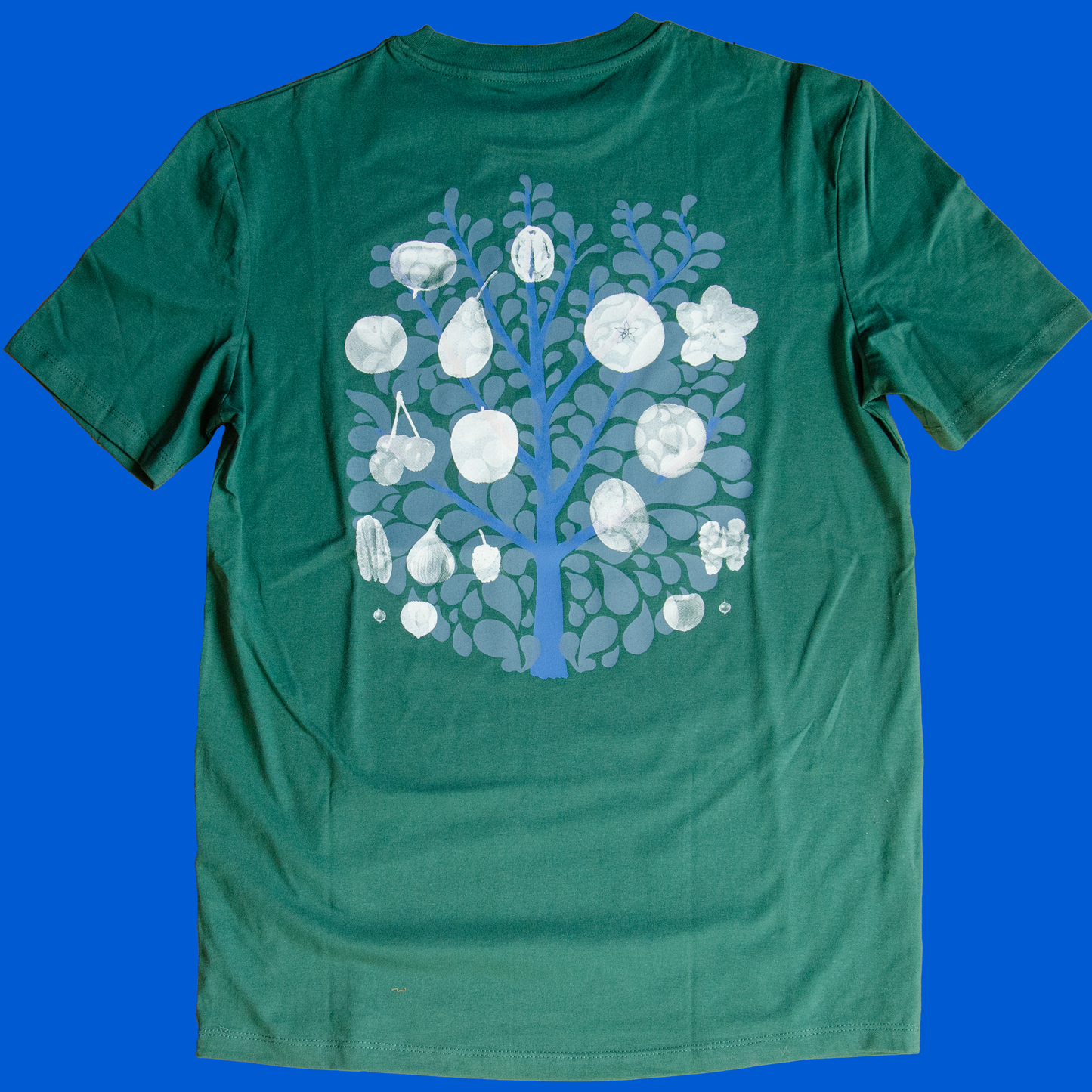 MEHR BÄUME AUF DIE FELDER